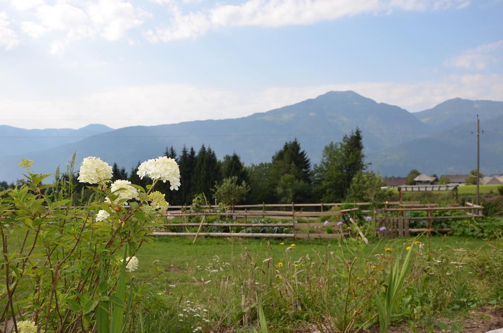 Naturgut Gailtal Sankt Stefan an der Gail Dış mekan fotoğraf